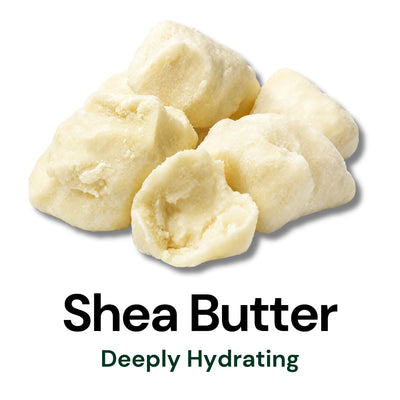 Shea Butter