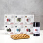Rough & Ready Bundle